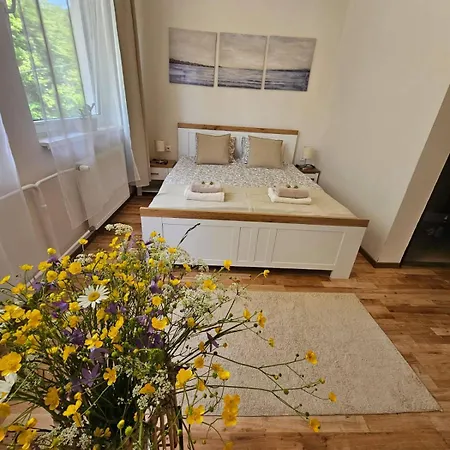 Paradajs - Pri Jazere